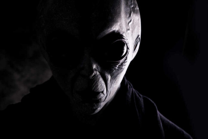 Image,Of,An,Alien.,Grey,Kind,Humanoid,From,An,Other