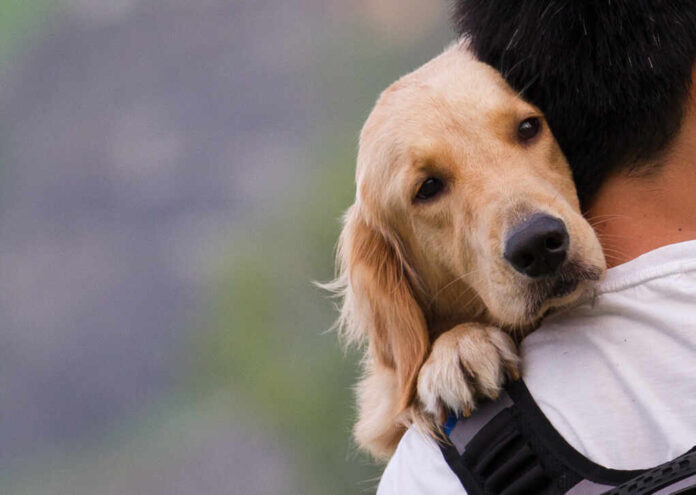 Dog,On,A,Man,Shoulders