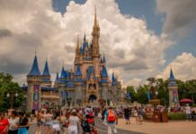 Disney World Deaths: Safety Under Scrutiny