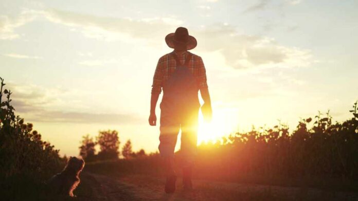 Farmer,Silhouette.,A,Male,Farmer,Walk,Along,A,Road,Among
