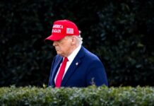 Wolff, Epstein, and the Trump Lawsuit Showdown