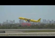 Unprecedented Move: Government Eyes Airline Ownership