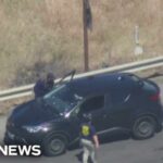 Viral TikToker's SHOCKING Clash With ICE