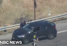 Viral TikToker's SHOCKING Clash With ICE