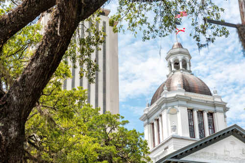 View of a historic government building with a dome and surrounding trees