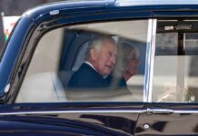 Royal couple in a car during a public event