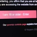 Age verification prompt on a website