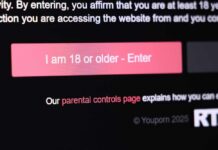 Age verification prompt on a website