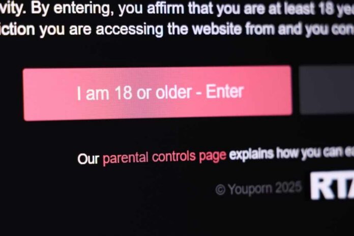 Age verification prompt on a website