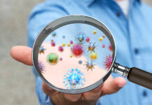 Nanodisc Breakthrough EXPOSES HIV, Ebola Weaknesses A person holding a magnifying glass showing colorful microorganisms