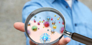 A person holding a magnifying glass showing colorful microorganisms