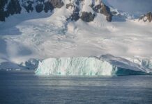 Iceberg floating near a snow-covered polar coastline