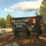 Injury Silence Sparks Yellowstone Uproar 12-year-old injured by bison at Yellowstone National Park