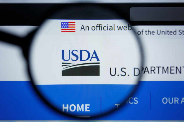 Los,Angeles,,California,,Usa,-,17,Jule,2019:,Illustrative,Editorial Close-up view of the USDA website logo through a magnifying glass