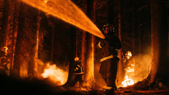Firefighters battling a forest fire at night