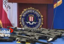 Federal Crackdown Hits Cross-Border Crime Rings Federal Crackdown Hits Cross-Border Crime Rings