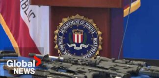 Federal Crackdown Hits Cross-Border Crime Rings