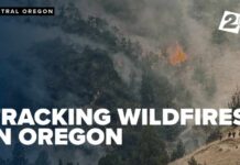 There are 85+ wildfires in Central Oregon. Here is what you need to know