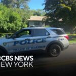Scarsdale man accused of murdering his mother