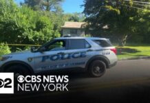 Scarsdale man accused of murdering his mother
