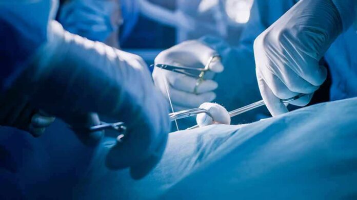 shutterstock_1152709142 Surgeons' gloved hands performing an operation