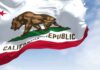 Outrage Erupts Over Noncitizen Teen Poll Workers California state flag featuring a bear and a star