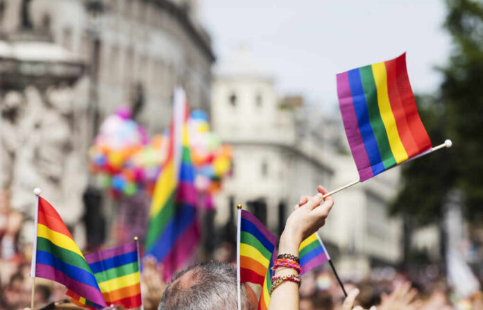 A,Spectator,Waves,A,Gay,Rainbow,Flag,At,An,Lgbt Crowd holding rainbow flags at a Pride parade