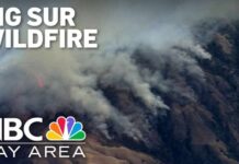 Evacuation Chaos As Big Sur Burns Big Sur Timber Fire doubles to 800 acres; evacuation orders remain