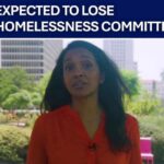 Nithya Raman faces removal from homelessness role