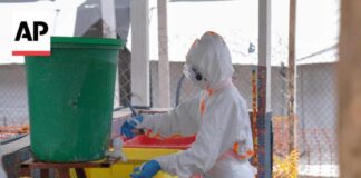 WHO calls for 'intensified' response as DR Congo Ebola cases near 4,000 • FRANCE 24 English