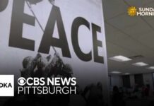Pentagon moves to fire publisher and editor of Stars and Stripes