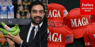 MAGA Erupts Over Mamdani’s Potential ID Mandate At City-Owned Grocery Stores