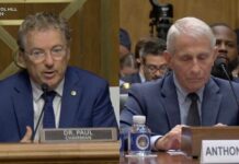 Fauci Faces Senate Contempt Vote Watch Live: Senate committee holds Dr. Fauci contempt of Congress vote | Face The Nation