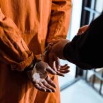 License Plates Nail Murder Suspect Prisoner in orange jumpsuit handcuffed by officer