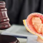 Dumpster Baby Case Stuns Alabama Judge's gavel beside a fetal model of a pregnant uterus