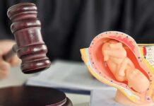 Dumpster Baby Case Stuns Alabama Judge's gavel beside a fetal model of a pregnant uterus